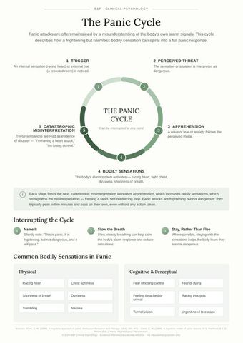 The panic cycle