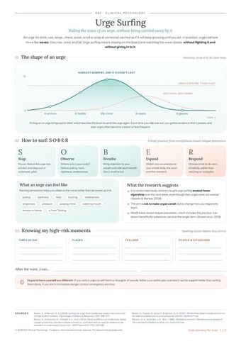 Urge surfing log (1)